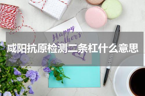 咸阳抗原检测二条杠什么意思