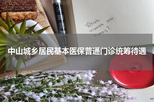中山城乡居民基本医保普通门诊统筹待遇