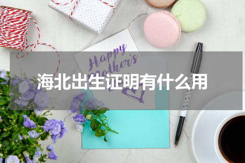 海北出生证明有什么用