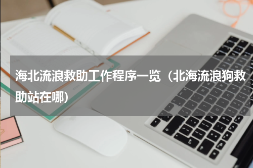 海北流浪救助工作程序一览（北海流浪狗救助站在哪）