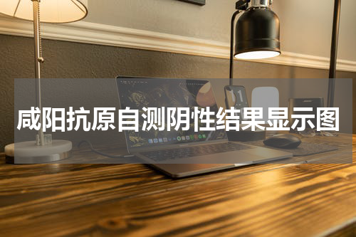 咸阳抗原自测阴性结果显示图