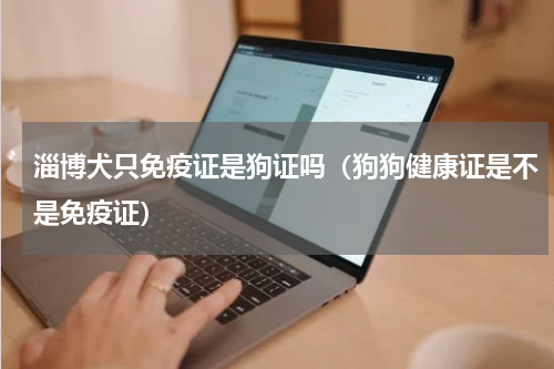 淄博犬只免疫证是狗证吗（狗狗健康证是不是免疫证）