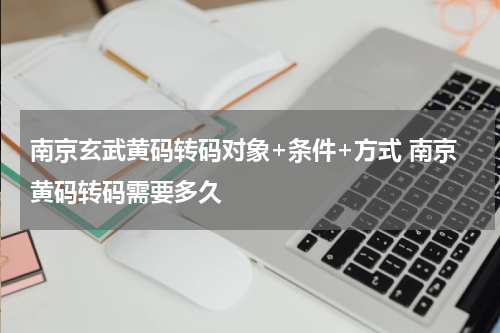 南京玄武黄码转码对象+条件+方式 南京黄码转码需要多久