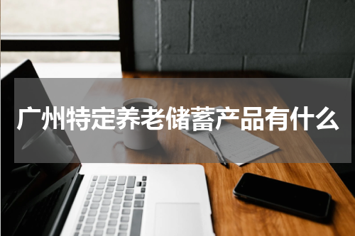 广州特定养老储蓄产品有什么