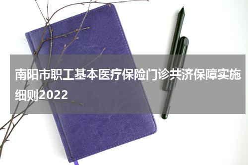 南阳市职工基本医疗保险门诊共济保障实施细则2022