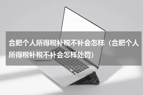 合肥个人所得税补税不补会怎样（合肥个人所得税补税不补会怎样处罚）