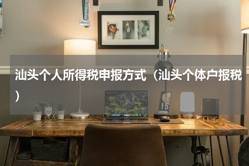 汕头个人所得税申报方式（汕头个体户报税）