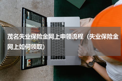 茂名失业保险金网上申领流程（失业保险金网上如何领取）
