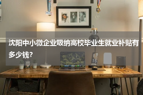 沈阳中小微企业吸纳高校毕业生就业补贴有多少钱？