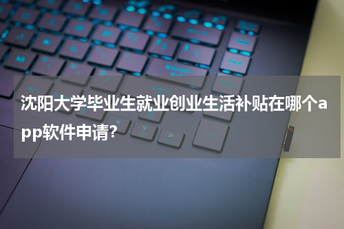 沈阳大学毕业生就业创业生活补贴在哪个app软件申请？