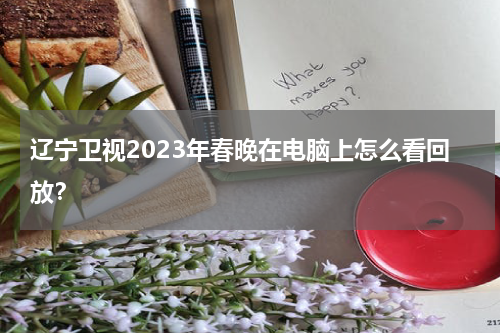 辽宁卫视2023年春晚在电脑上怎么看回放？
