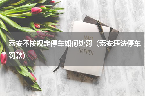 泰安不按规定停车如何处罚（泰安违法停车罚款）