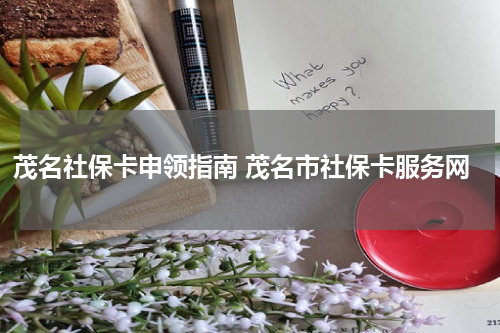 茂名社保卡申领指南 茂名市社保卡服务网