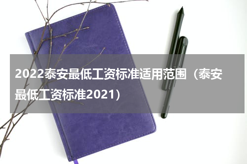 2022泰安最低工资标准适用范围（泰安最低工资标准2021）