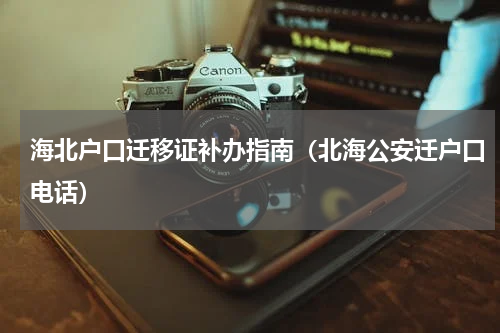 海北户口迁移证补办指南（北海公安迁户口电话）