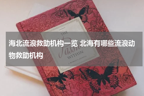 海北流浪救助机构一览 北海有哪些流浪动物救助机构