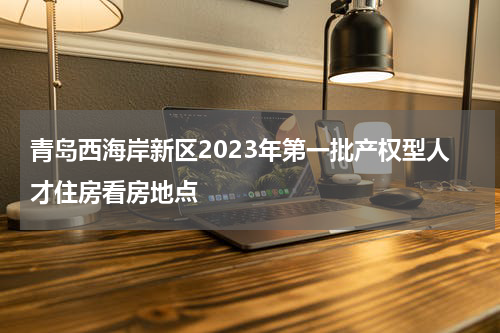 青岛西海岸新区2023年第一批产权型人才住房看房地点