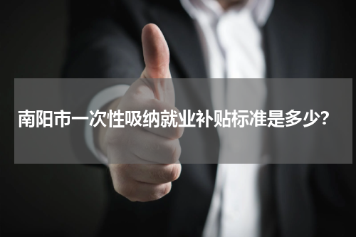 南阳市一次性吸纳就业补贴标准是多少？