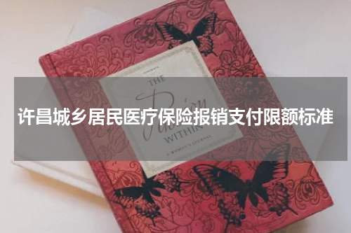 许昌城乡居民医疗保险报销支付限额标准