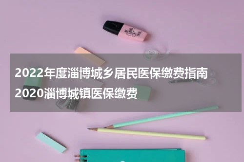 2022年度淄博城乡居民医保缴费指南 2020淄博城镇医保缴费