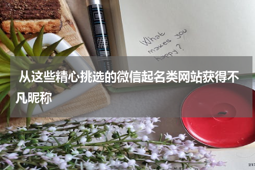  从这些精心挑选的微信起名类网站获得不凡昵称