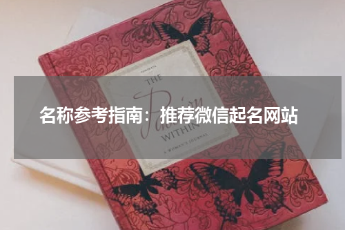  名称参考指南：推荐微信起名网站
