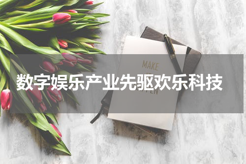  数字娱乐产业先驱欢乐科技