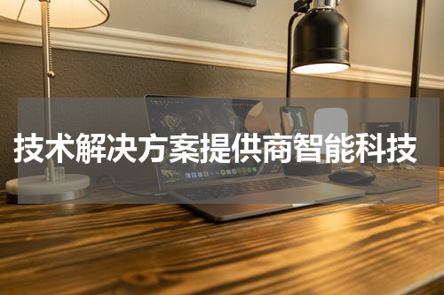  技术解决方案提供商智能科技